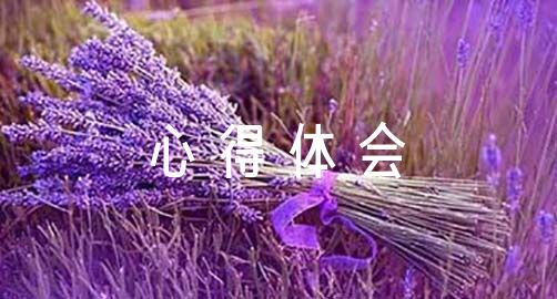 如何在比赛中发现和发展球员潜力_1